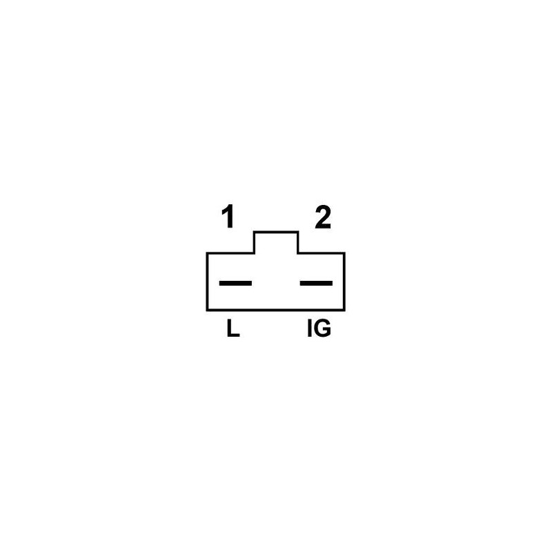 Lichtmaschine ersetzt DELCO REMY 1979867 / 1979866 / 1979865 / 1979863 / 1979862