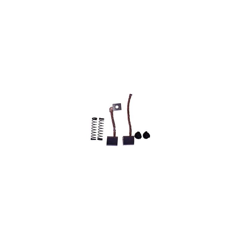 Brush set  / for starter VALEO replacing 300706