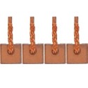 Brush set for starter  DELCO REMY  PG100 / 21020892 / 21021648 / 9000700