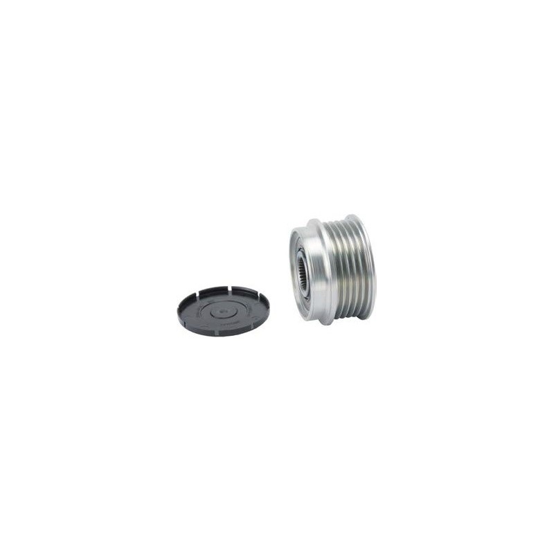 Poulie pour Lichtmaschine BOSCH 0121715003 / 0124315001 / 0124315013