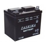 Lawnmower battery / microtractor 12V 24Ah