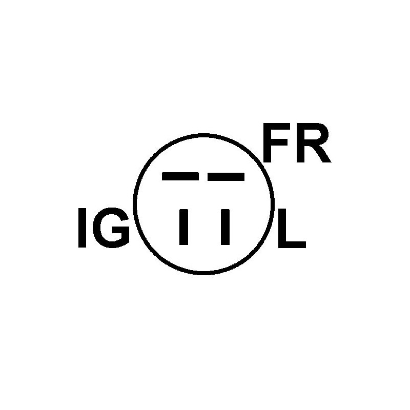 Lichtmaschine ersetzt 101211-0250 / 101211-0240 / 100211-9770