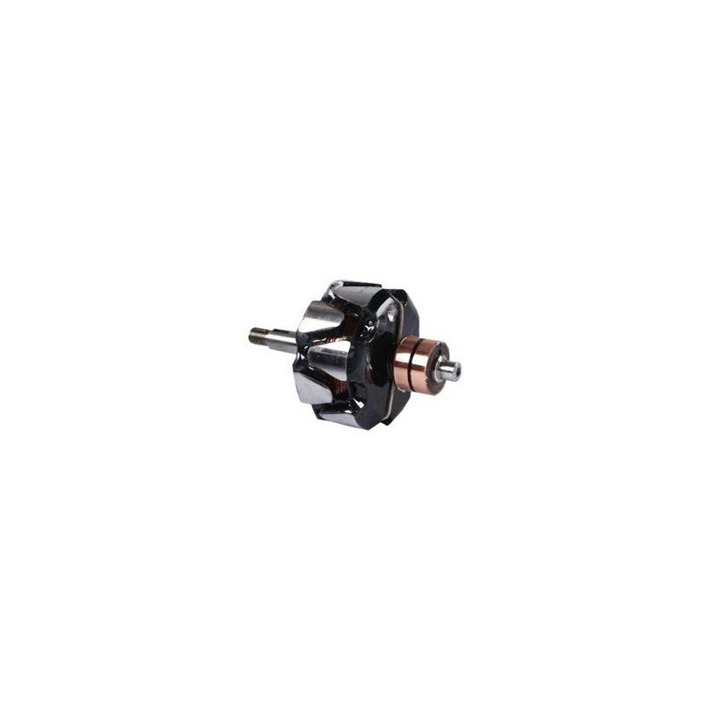 Rotor per alternatore Lada 2108-3701010 / 224-370701 / 224- 373701