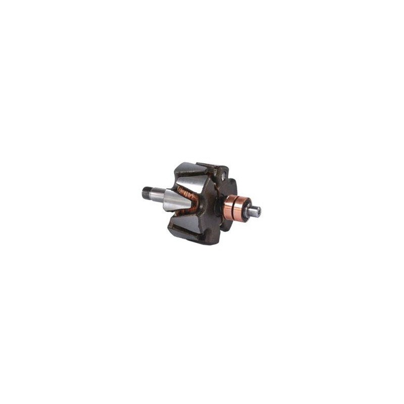 Rotor per alternatore Bosch 0120400944 / 0120400945 / 0120484029