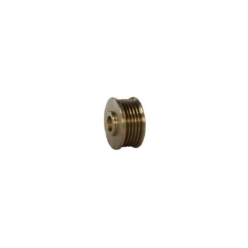 Poulie pour Lichtmaschine DELCO REMY CS130 / 10479963 / 10480028