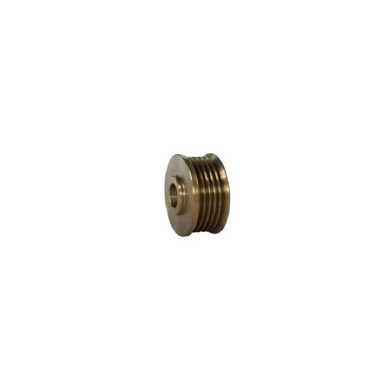 Pulley pour alternator DELCO REMY CS130 / 10479963 / 10480028