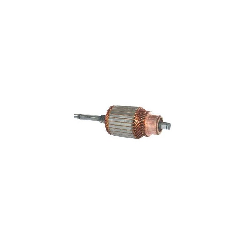 Armature for starter D13E64 / D13E71 / D13E73 / D13E74