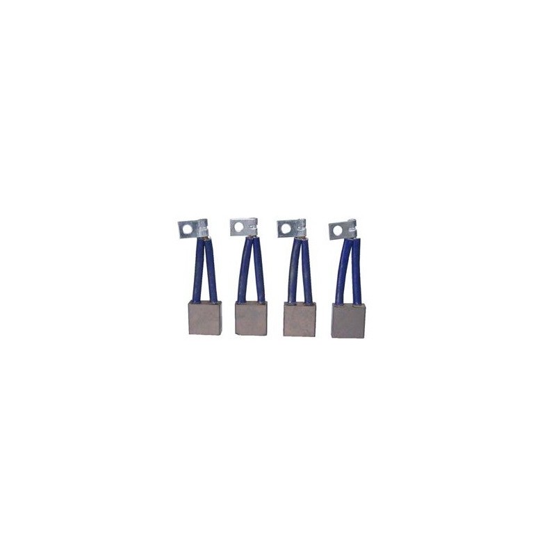 Set di spazzole per motorino di avviamento CAV 1320035 / 1320036 / 1320F035
