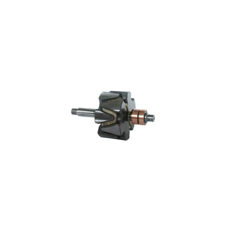 Rotor per alternatore Bosch 0120488208 / 0120488273 / 0120488289