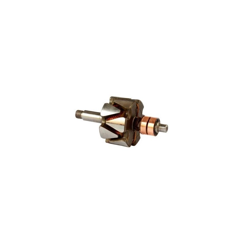 Rotor per alternatore Bosch 0120300550 / 0120300551 / 0120300568