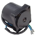 Tilt trim Motor ersetzt OMC 434495 / 434496 / 438529 / 438531