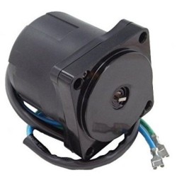 Motore / tilt-trim sostituisce OMC 434495 / 434496 / 438529 / 438531 per imbarcazioni EVINRUDE / JOHNSON / OMC