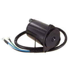 Motor à courant continu/ tilt-trim sustituye Yamaha 61A-43880-01 / 61A-43880-01-00