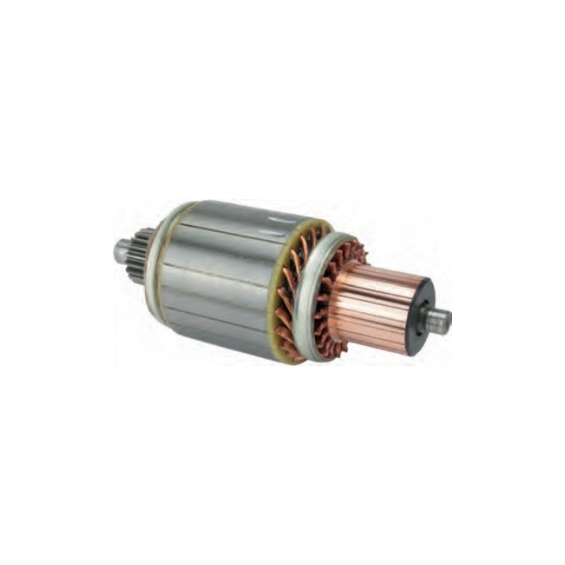 Induit pour démarreur Delco remy 10461768 / 10461769 / 19026027 / 19026028