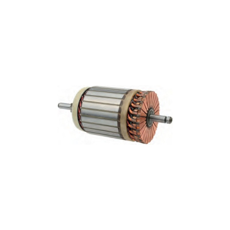 Induit pour démarreur D6RA107 / D6RA108 / D6RA109 / D6RA110