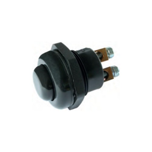 Push Button Switch 12/24 volts