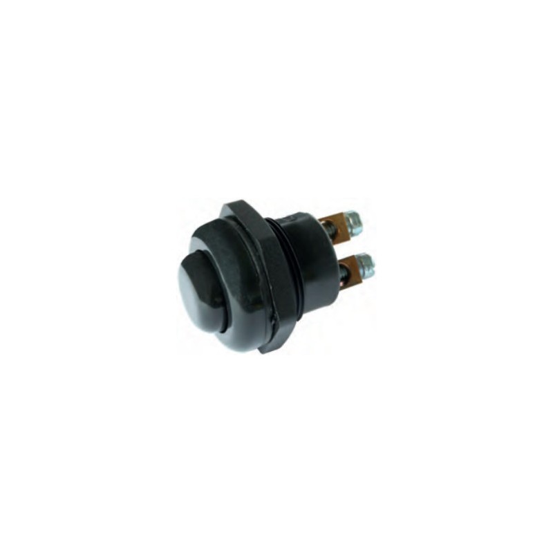 Push Button Switch 12/24 volts
