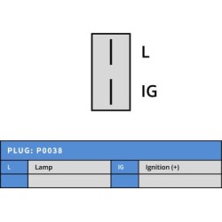 Alternator replacing DELCO REMY