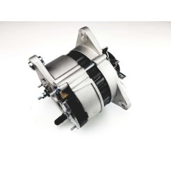 Alternatore sostituisce Iskra IA0811 / AAK4599 / 11201811 / MG216