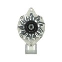 Alternator replacing A13N241 / A13N133 / A13N178 / A13N232 / A13N241 / A13N289