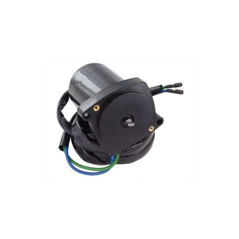 Tilt Trim Motor replacing 811628