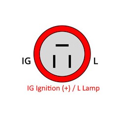 Lichtmaschine ersetzt 100211-9430 / 100211-9431 / 100211-9730 / 100211-9731