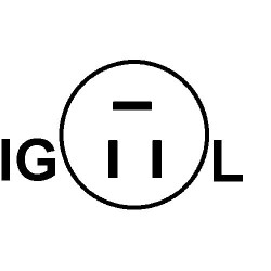 Alternador sustituye 30002523 / 30012950 / 30016321