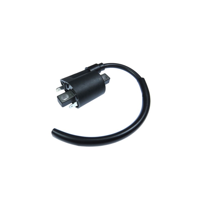 Ignition coil for motorcycle replacing 1S4-82310-00