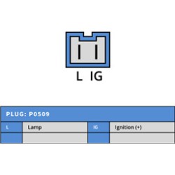 Alternateur équivalent 436462	/ 747063 / A14N171 / LRA01338 / LRA02684