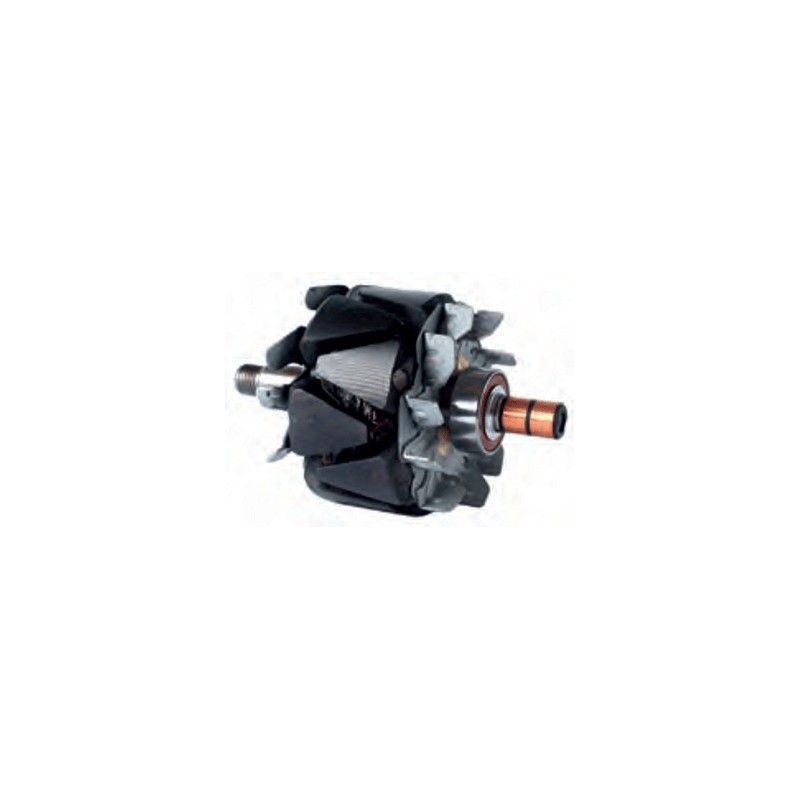 Rotor per alternatore Denso  100211-6030 / 100211-6031 / 100211-6040 / 100211-6050