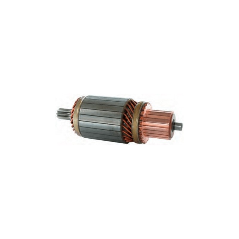 Induit pour démarreur Delco remy 10465054 / 10479606 / 10479607