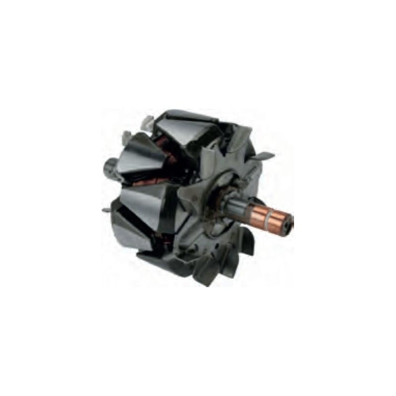 Rotor per alternatore VALEO SG12B038 / SG14B010 / SG14B011 / SG14B012