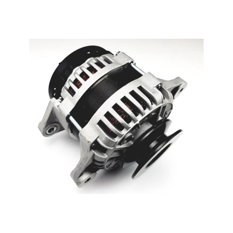 Alternator replacing  0124120001 / DRA0222 for  VM motor