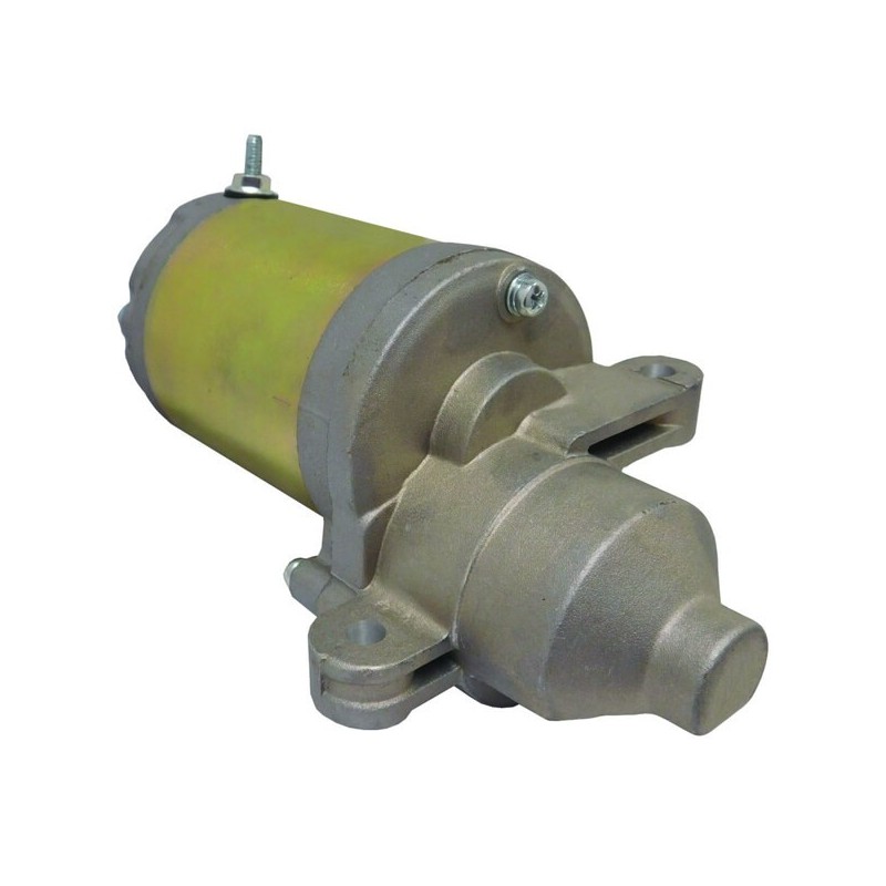 Starter replacing MTD 751-12207 / 951-12207