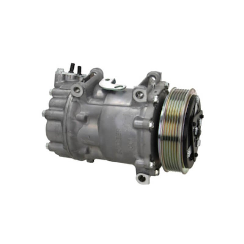 Compressore dell'aria condizionata sostituisce SD7C161393 / SD7C161309 / 72466801 / 813162