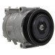 Compressore dell'aria condizionata DENSO sostituisce DCP21021 / ACP956000S / 9822101780 / 813753
