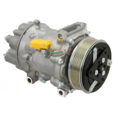 Compressore dell&#039;aria condizionata sostituisce SD7V161813 / ACP01172 / 999119 / 9687499380