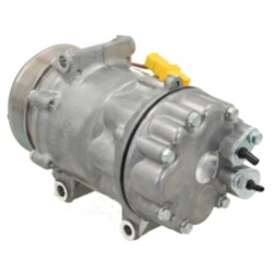 Compresor del aire acondicionado sustituye SD7V161813 / ACP01172 / 999119 / 9687499380