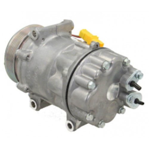 Compressore dell&#039;aria condizionata sostituisce SD7V161813 / ACP01172 / 999119 / 9687499380