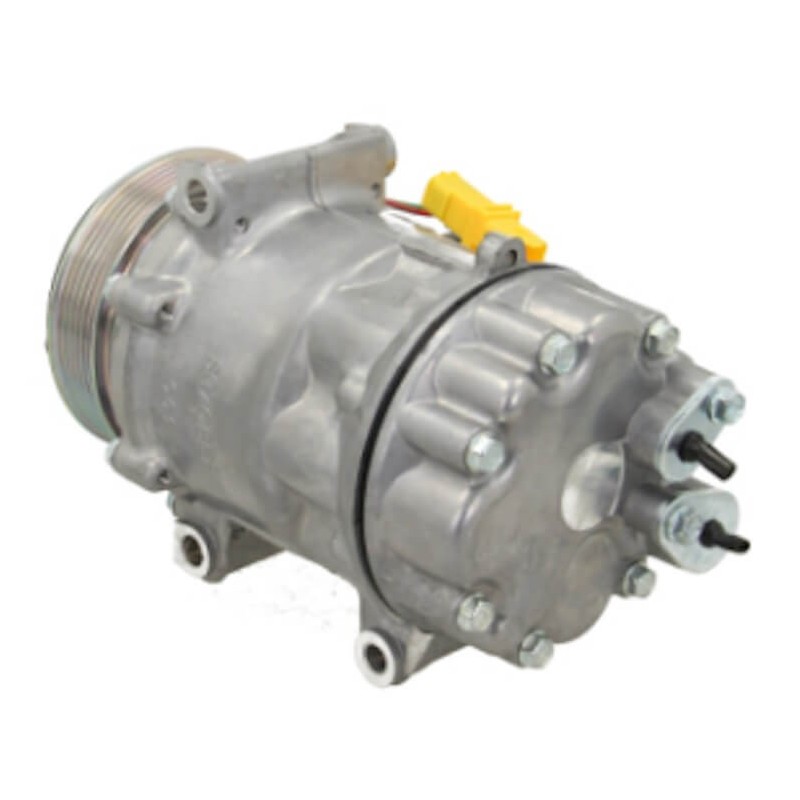 Compresseur de climatisation remplace SD7V161813 / ACP01172 / 999119 / 9687499380 Compresseur de climatisation remplace SD7V161813 / ACP01172 / 999119 / 9687499380