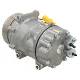 Compressore dell'aria condizionata sostituisce SD7V161813 / ACP01172 / 999119 / 9687499380