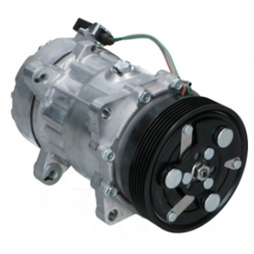 Compressore dell&#039;aria condizionata SANDEN SD7V16-1080 sostituisce SD7V161071 / 7M3820803C 