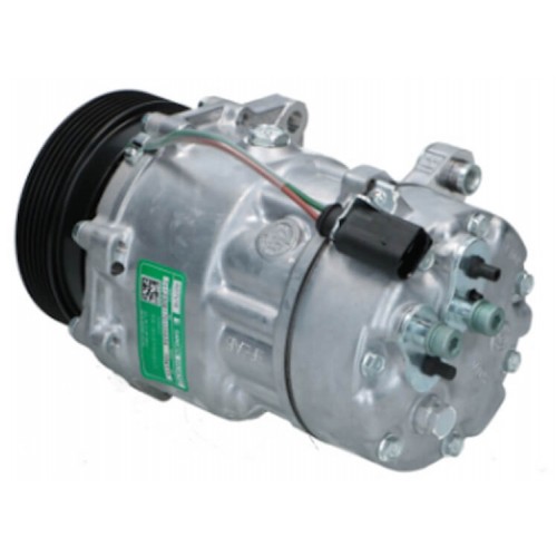 Compressore dell&#039;aria condizionata SANDEN SD7V16-1080 sostituisce SD7V161071 / 7M3820803C 