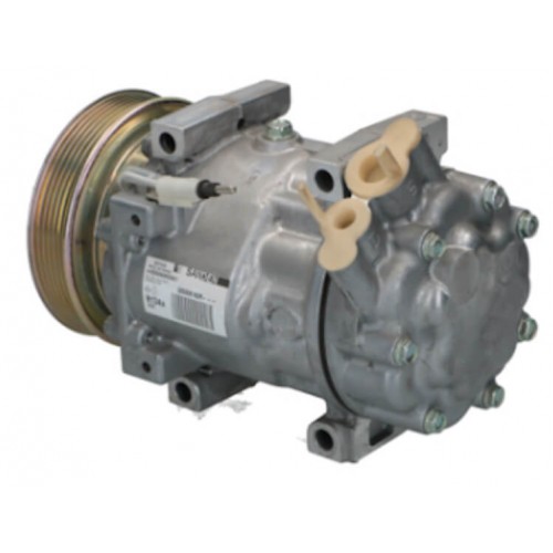 Compressore dell&#039;aria condizionata SANDEN SD7V161858 sostituisce SD7V161809 / SD7V161177 / SD7V161068 / ACP48000P