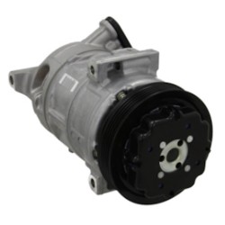 Compresor del aire acondicionado DENSO DCP20030 sustituye 699894 / 24443138