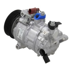 Compresor del aire acondicionado DENSO DCP02098 sustituye 72531803 / 4472808820 / 690209