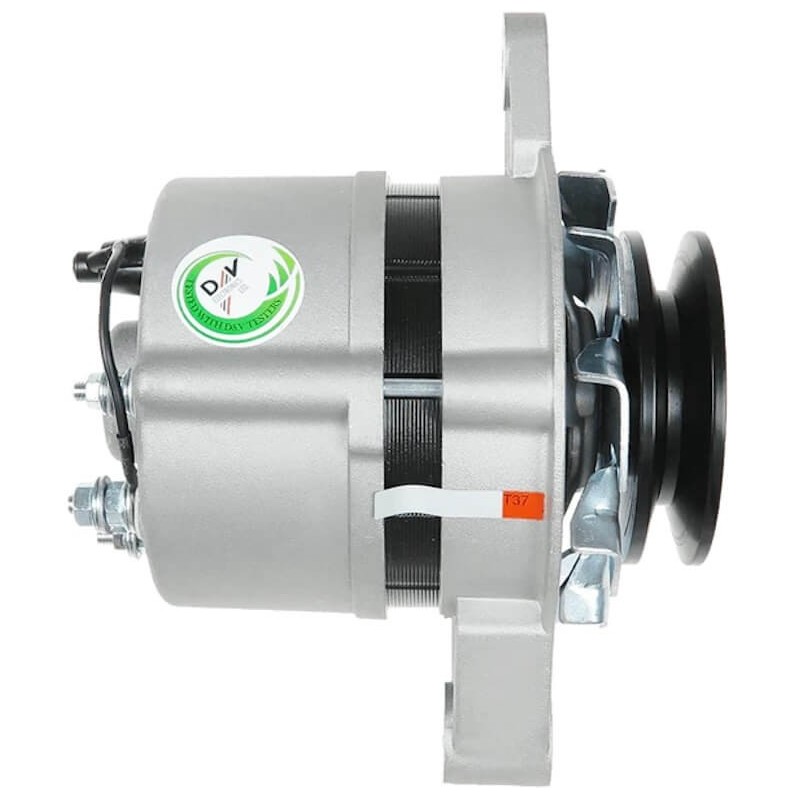 Alternator replacing ISKRA 11.201.095 / AAG1310 /  IA0095