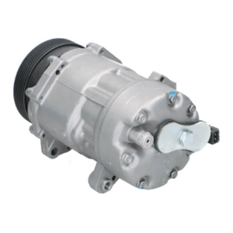 Compressore dell'aria condizionata sostituisce SD7V161055 / SD7V161162 / ACP1021000S Compressore dell'aria condizionata sostituisce SD7V161055 / SD7V161162 / ACP1021000S