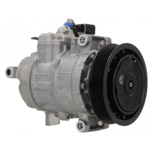 Compressore dell&#039;aria condizionata DENSO DCP02043 sostituisce DCP02029 / 4471501161 / 8K0260805K