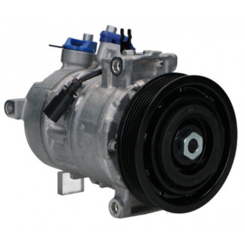 Compressore dell&#039;aria condizionata sostituisce DCP02043 / DCP02029 / 4471501161 / 8K0260805K